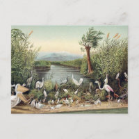 Oiseaux du Caucase