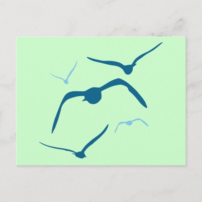 Carte Postale Oiseaux en vol (Devant)