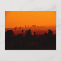 Oiseaux en vol (Los Angeles, CA)