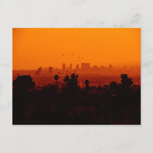 Carte Postale Oiseaux en vol (Los Angeles, CA)