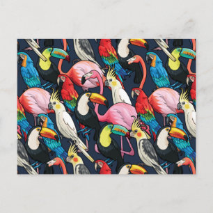 Carte Postale Oiseaux exotiques