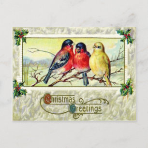 Carte Postale Oiseaux & Houx
