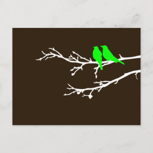Carte Postale oiseaux moisis