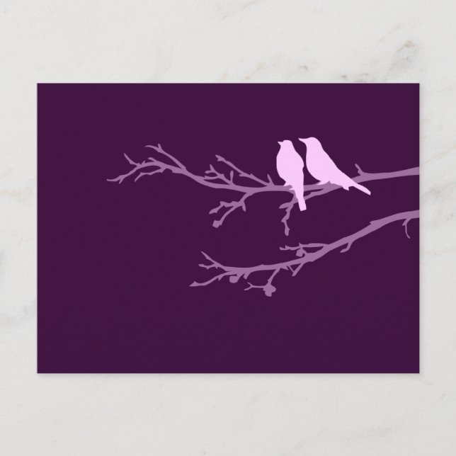 Carte Postale oiseaux moisis (Devant)