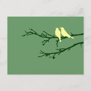 Carte Postale oiseaux moisis