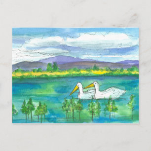 Carte Postale Oiseaux pélicans Aquarelle du désert du lac Mounta