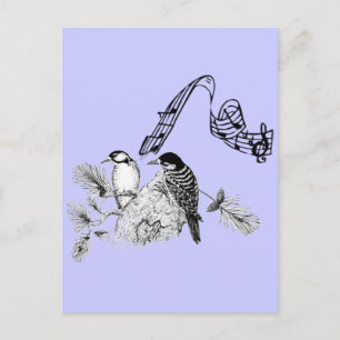 Carte Postale Oiseaux vintages