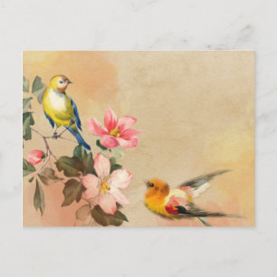 Carte postale Oiseaux vintages