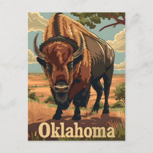 Carte Postale Oklahoma Bison Vintage