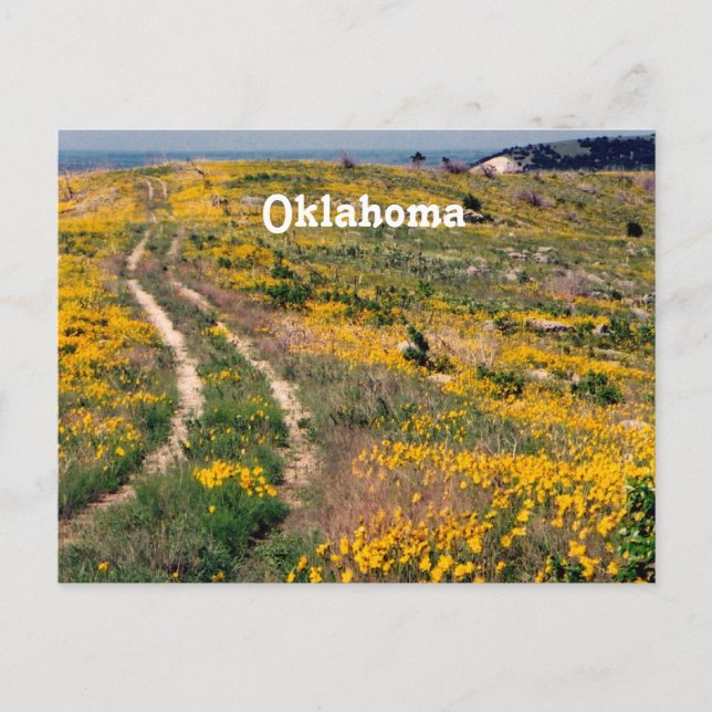Carte Postale Oklahoma Prairie (Devant)