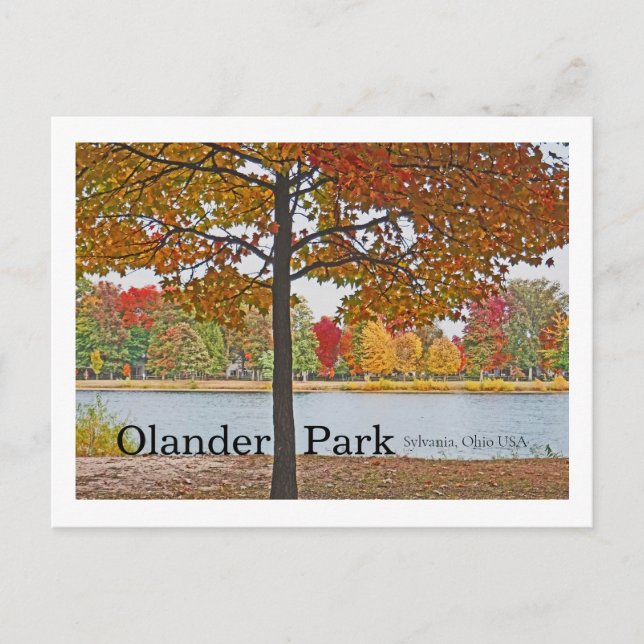 Carte Postale Olander Park, Sylvania, Ohio USA/Automne Colonnes (Devant)