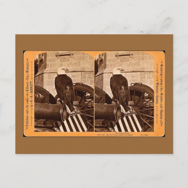 Carte Postale Old Abe, Aigle de guerre du Wisconsin - Stereoview (Devant)
