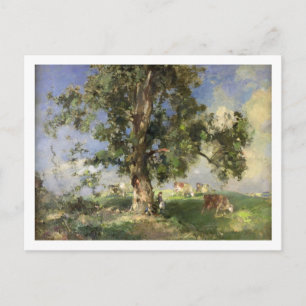 Carte Postale Old Ash Tree