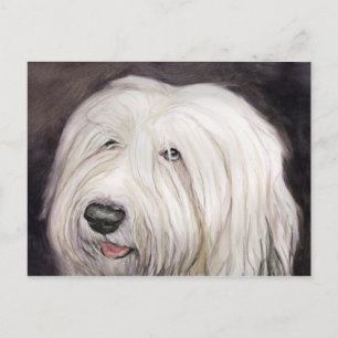 Carte postale Old English Sheepdog Art