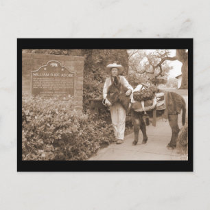 Carte Postale Old Time donkey postcard