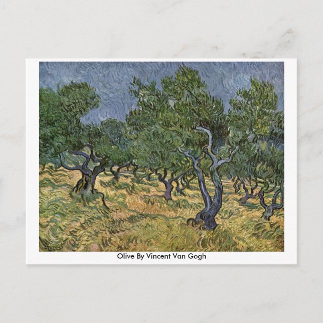 Carte Postale Olive De Vincent Van Gogh (Devant)