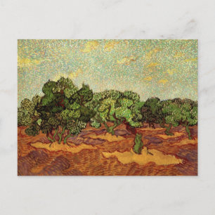 Carte Postale Olive Grove, ciel bleu pâle par Vincent van Gogh
