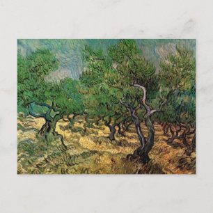 Carte Postale Olive Grove par Vincent van Gogh