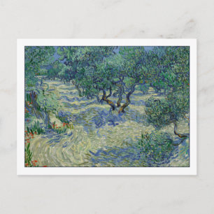 Carte Postale Olive Orchard par van Gogh