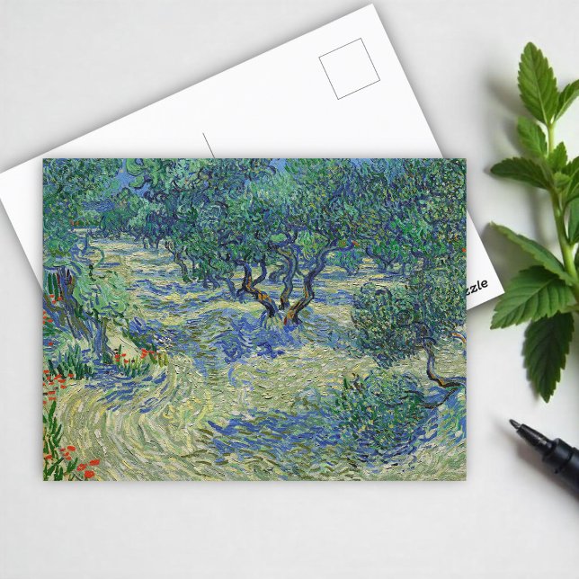 Carte Postale Olive Orchard, Vincent van Gogh (Créateur téléchargé)