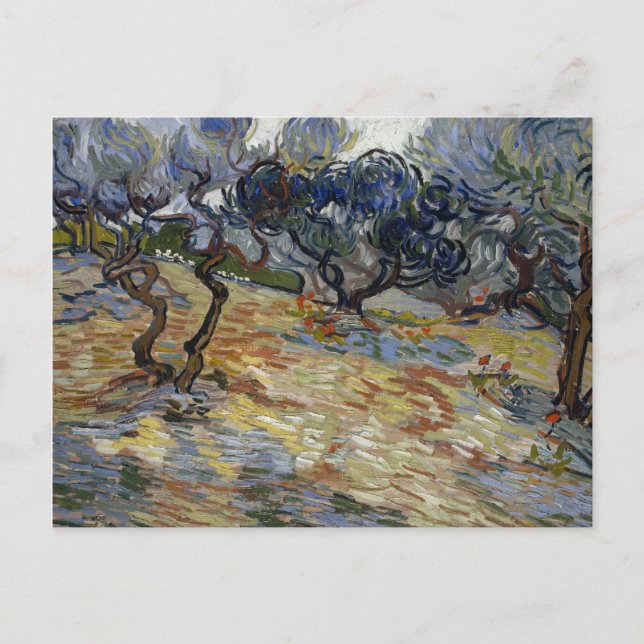 Carte Postale Olive Trees par Vincent Van Gogh (Devant)