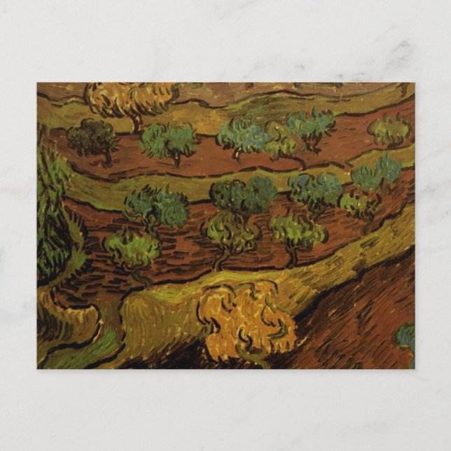 Carte Postale Olive Trees Slope Hill Van Gogh Art (Devant)