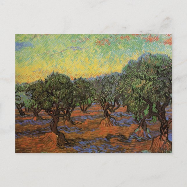Carte Postale Olivier Grove avec ciel orange, Vincent van Gogh (Devant)