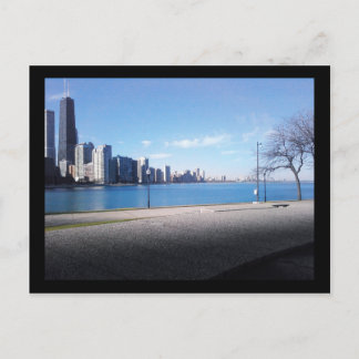 Carte Postale olivier :: hiver