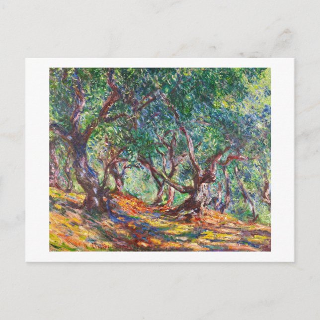 Carte Postale Oliviers à Bordighera, 1884 Claude Monet (Devant)
