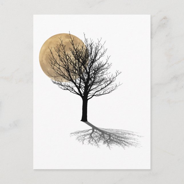 Carte Postale Ombre de la lune (Devant)