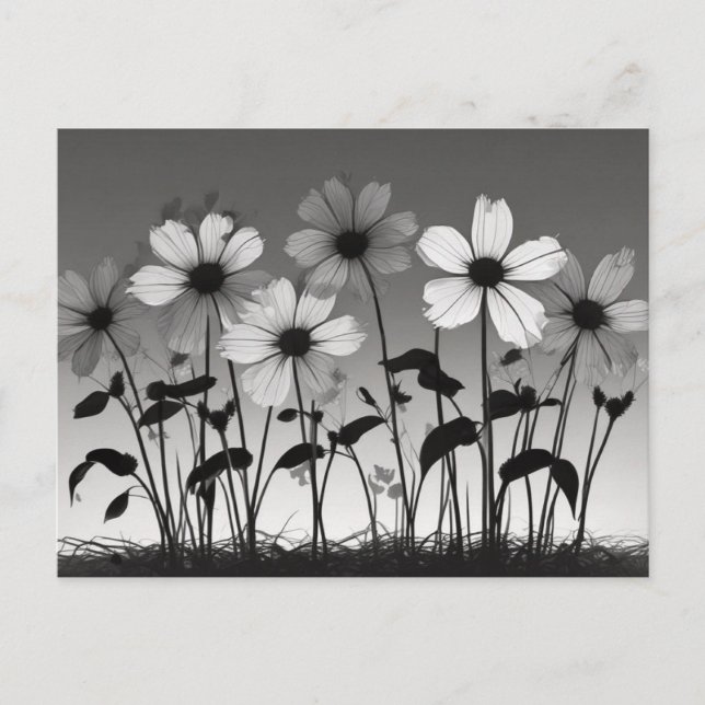Carte Postale Ombres florales noires et blanches (Devant)