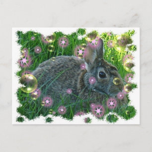 Carte Postale On a un lapin de fête
