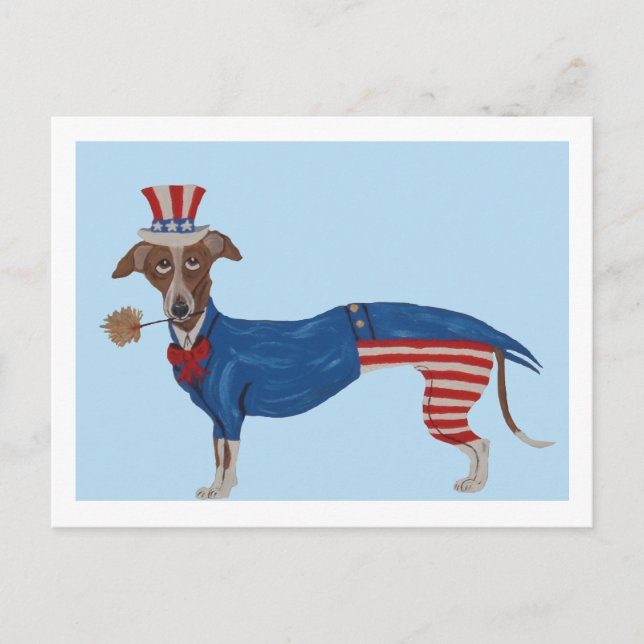 Carte Postale Oncle Sam Greyhound (Devant)