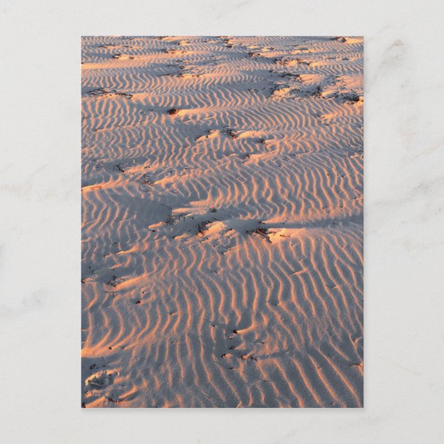 Carte Postale ondulation de sable (Devant)