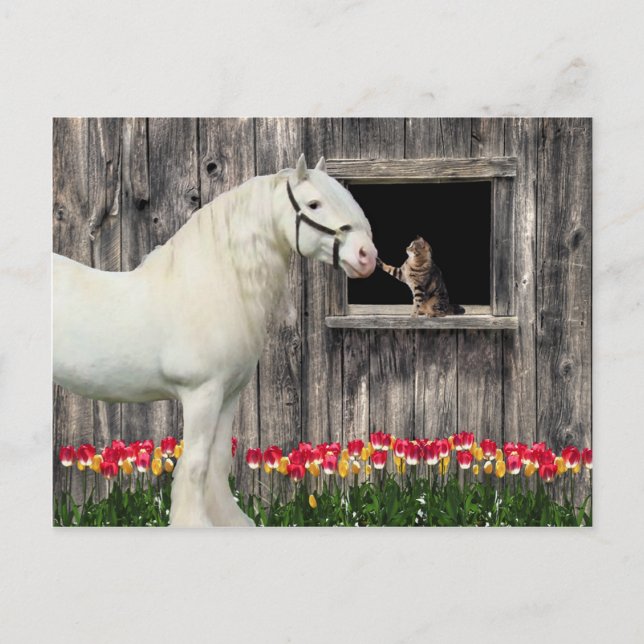 Carte postale "One Spring Morning" (Devant)