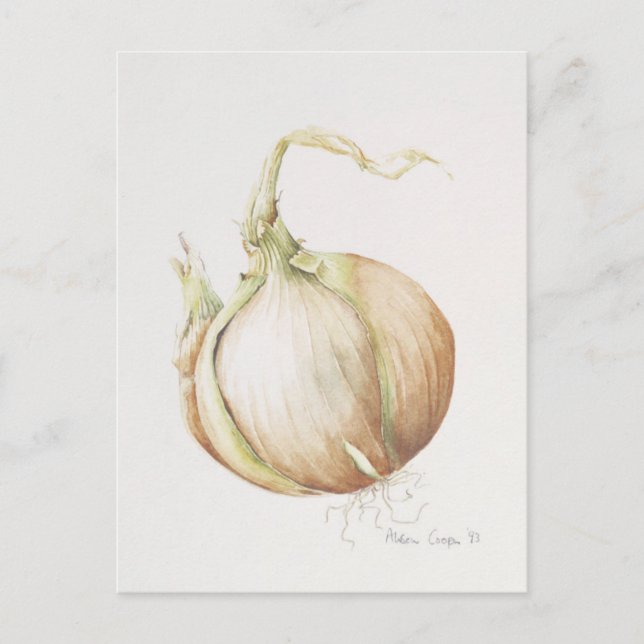 Carte Postale Onion Study 1993 (Devant)