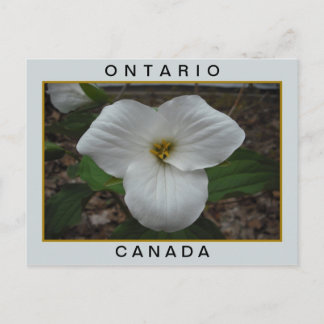 Carte Postale Ontario, Canada Trillium