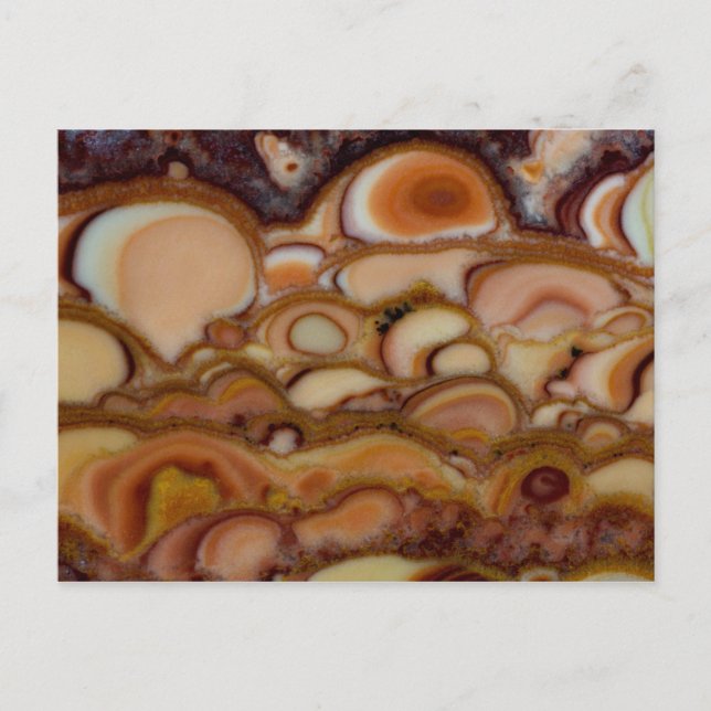 Carte Postale Onyx Brown (Devant)