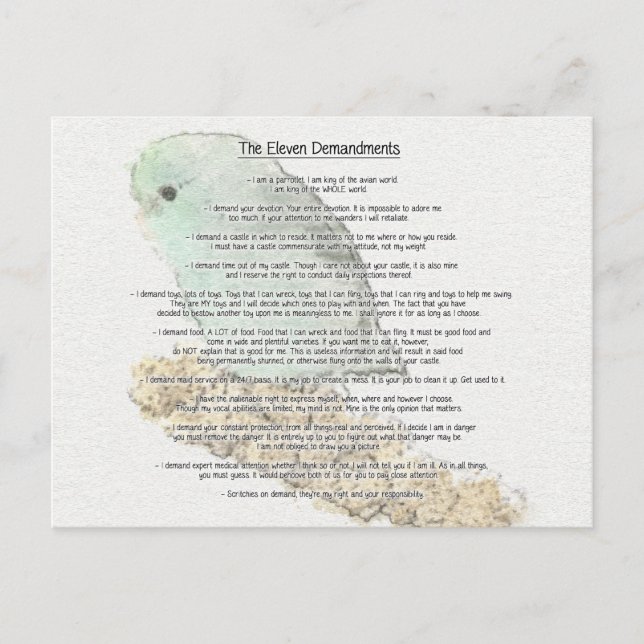 Carte Postale Onze Demandes De Parrotlets (Devant)