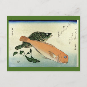 Carte Postale Oomon-hata & Shiro-amadai - Estampe de poissons de