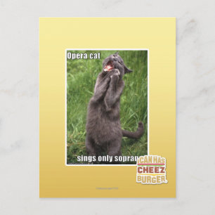 Carte Postale Opera Cat