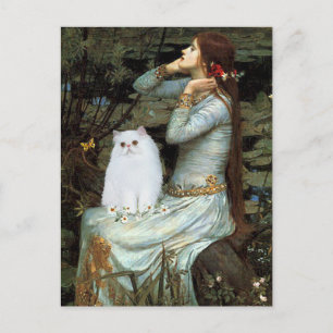 Carte Postale Ophélie - Chaton Perse Blanc