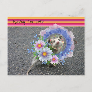 Carte postale Opossum Floral Stripe Vous manquez l