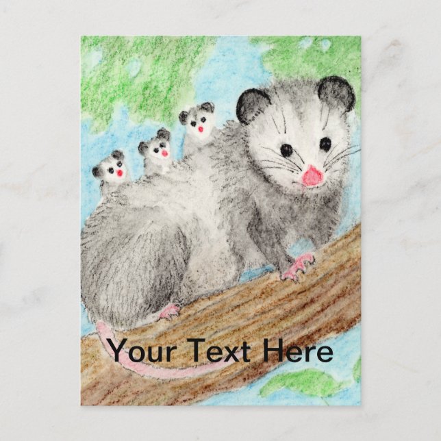 Carte postale Opossum Mom (Devant)