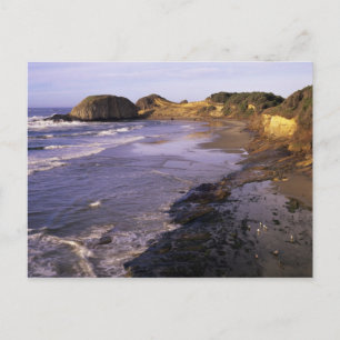Carte Postale OR, côte de l'Oregon, Newport, rivage à Seal