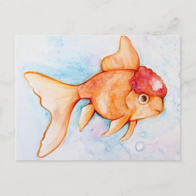 Carte Postale Oranda Goldfish (Devant)