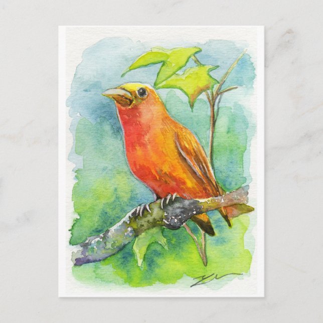 Carte Postale Orange Bird (Devant)