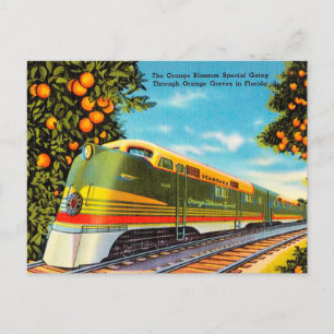 Carte Postale Orange Blossom spécial Orange Grosses à Floride