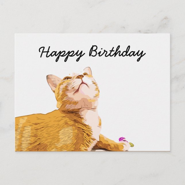 Carte Postale Orange cat est à l'anniversaire de l'arrière - pla (Devant)