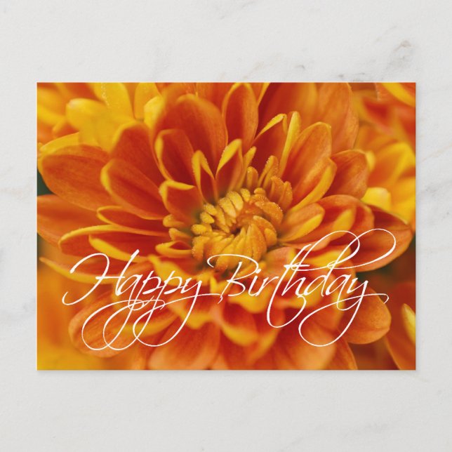 Carte Postale Orange Chrysanthemum Joyeux anniversaire (Devant)